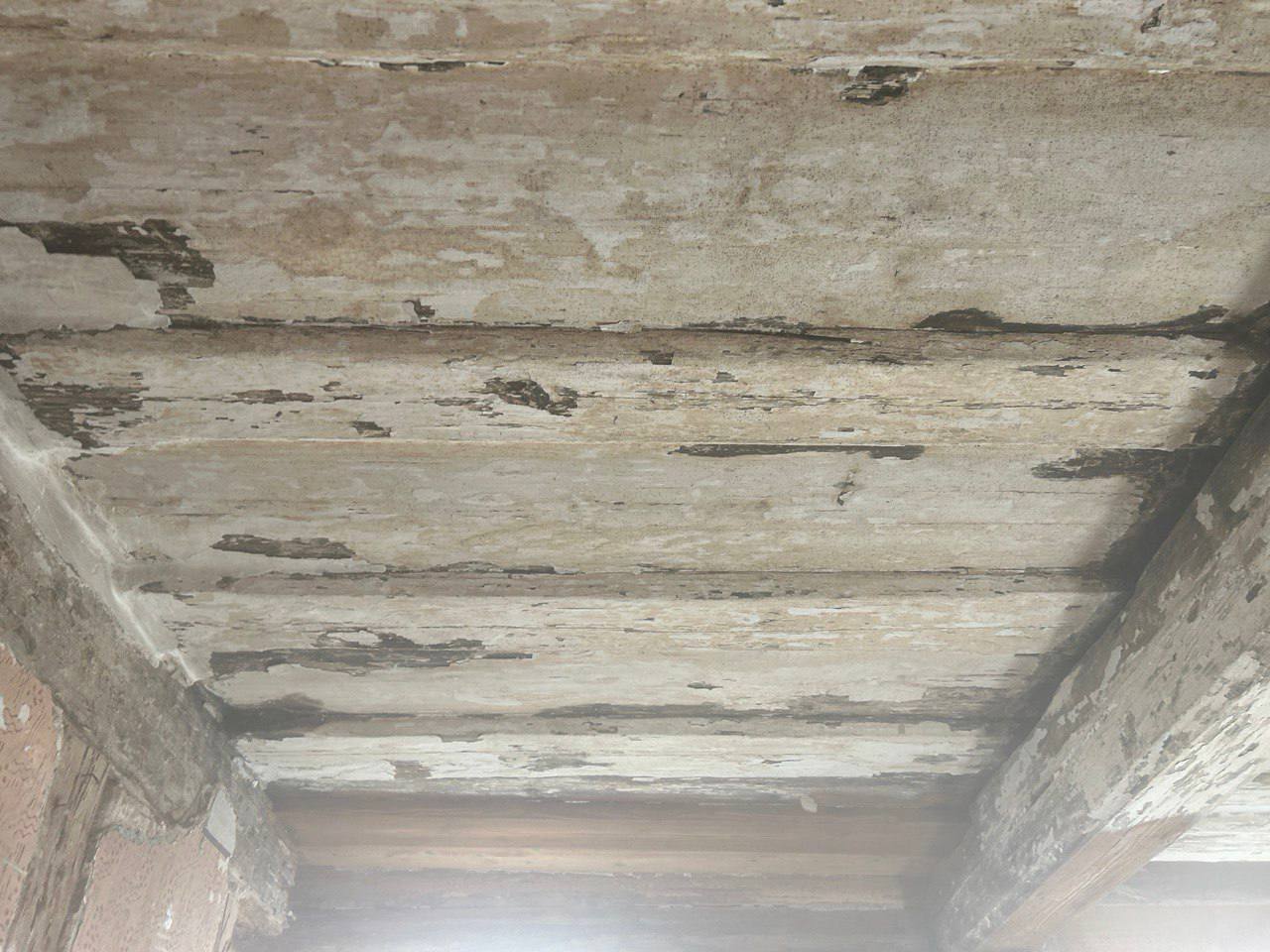 Before image